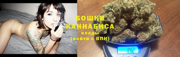 винт Лагань