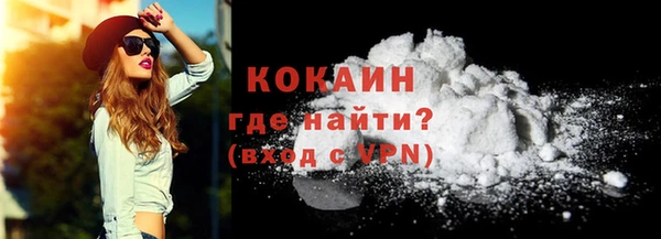 винт Лагань