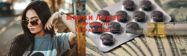 Альфа ПВП Ладушкин