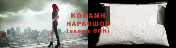 винт Лагань