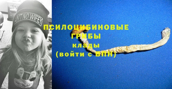 Альфа ПВП Ладушкин