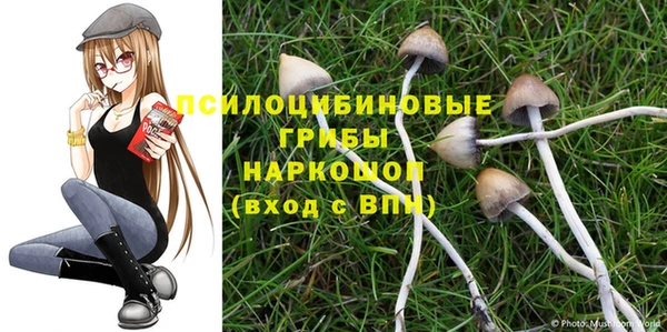 винт Лагань