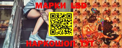бошки Гатчина