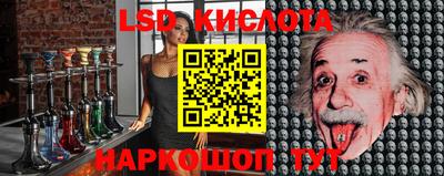 эйфоретик Берёзовский