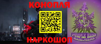 бошки Гатчина
