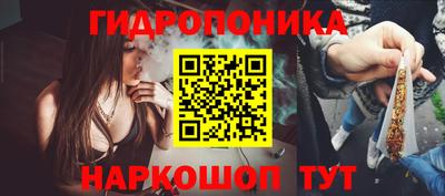 бошки Гатчина