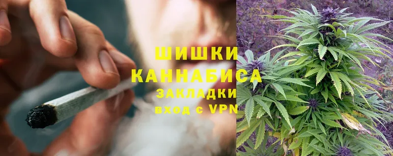 Шишки марихуана Bruce Banner  как найти закладки  Нефтеюганск 